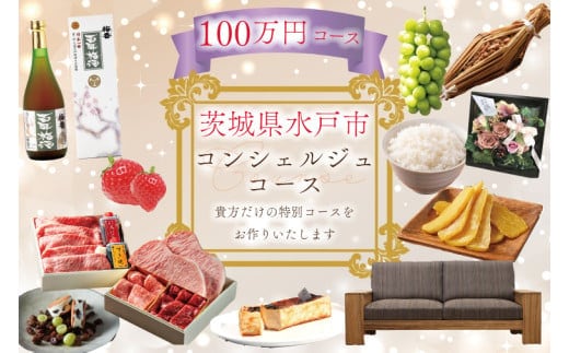 【提案型】コンシェルジュコース（100万円）(GT-9)