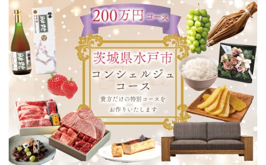 【提案型】コンシェルジュコース（200万円）(GT-10)