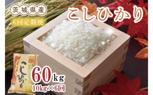 【新米先行予約】【6ヶ月定期便】茨城県産コシヒカリ計60kg（10kg×6回）（令和6年産）【お米 米 こしひかり 玄米 白米 新米 おにぎり ごはん 水戸市 茨城県】（EN-108）