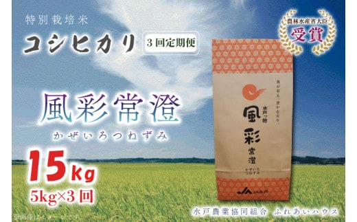 【3ヶ月定期便】【令和7年産】特別栽培米コシヒカリ「風彩常澄」計15kg（5kg×3回）【最高 ランク 特A コシヒカリ 水戸市 オリジナル ブランド 農林水産省大臣賞受賞 減農薬 減化学肥料 栽培 ふっくら 美味しい お米 ご飯】 （FC-103）