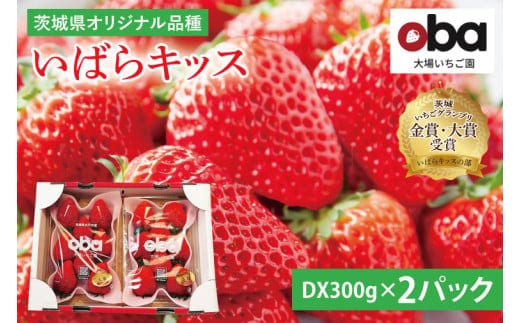【数量限定】茨城県オリジナル品種『いばらキッス』DX300g×2パック【いちご 苺 フルーツ 果物 くだもの 水戸市 茨城県】（DO-3）