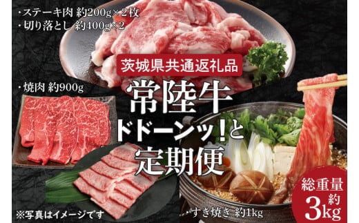 【3ヶ月定期便】常陸牛どどーんっ！と定期便 総重量約３kg超え【茨城県共通返礼品】（HI-8）