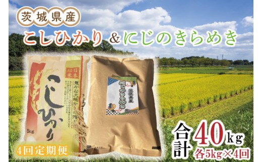 【新米先行予約】【4ヶ月定期便】茨城県産にじのきらめき＆こしひかり計40kg（10kg×4回）（令和6年度産）【お米 米 おにぎり ごはん 水戸市 茨城県】（EN-1036）
