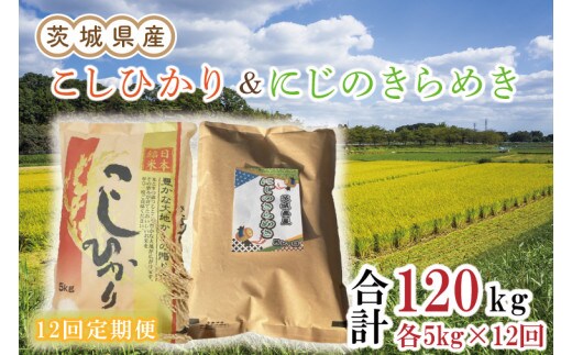 【新米先行予約】【12ヶ月定期便】茨城県産にじのきらめき＆こしひかり計120kg（10kg×12回）（令和6年度産）【お米 米 おにぎり ごはん 水戸市 茨城県】（EN-1038）