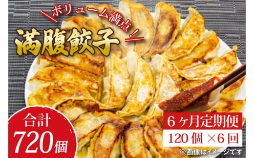 【6ヶ月定期便】リピーター続出！ボリューム満点！満腹餃子120個（３kg ）×6回【老舗 大容量 国産 焼き餃子 冷凍 ぎょうざ ギョーザ 冷凍餃子 簡単調理 惣菜 おかず 水戸市 水戸 茨城県 】（EJ-15）