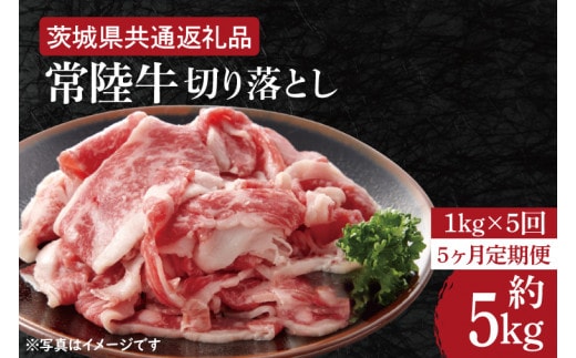 【5ヶ月定期便】【常陸牛】切り落とし 約１kg【定期便】計5kg 総量約5kg【茨城県共通返礼品】（HI-11）