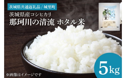 IH-34 茨城県産コシヒカリ 那珂川の清流 ホタル米5kg 無洗米（茨城県共通返礼品/城里町）