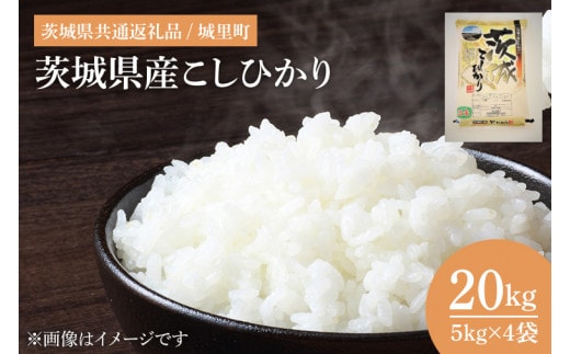 【数量限定】【令和7年産】茨城県産こしひかり 20kg（5kg×4）（茨城県共通返礼品/城里町）【お米 ごはん コシヒカリ おにぎり ごはん 桂農産 茨城県 水戸市】（IH-2051）