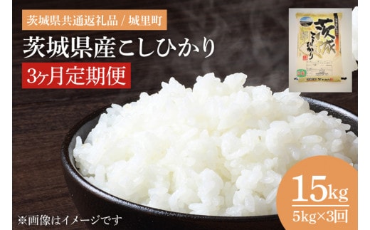 【数量限定】【3ヶ月定期便】【令和7年産】茨城県産こしひかり 計15kg（5kg×3回）（茨城県共通返礼品/城里町）（IH-2052）