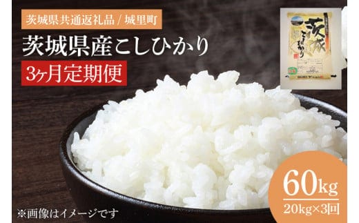 【数量限定】【3ヶ月定期便】【令和7年産】茨城県産こしひかり 計60kg（20kg×3回）（茨城県共通返礼品/城里町）（IH-2060）