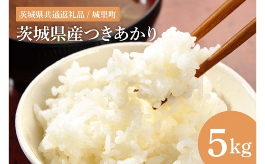 【数量限定】【令和7年産】茨城県産つきあかり（茨城県共通返礼品/城里町）5kg【お米 米 おにぎり 粒が大きい 茨城県】（IH-1164）