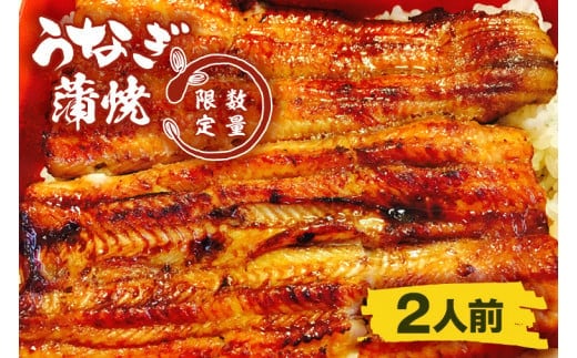 【蒲焼割烹 ぬりや】うなぎ蒲焼（真空パック）２人前 【鰻 ウナギ うなぎ 土用丑の日 土用 丑の日 かば焼き 蒲焼き 国産 うなぎ蒲焼 老舗】 （GW-3）