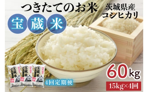 【4ヶ月定期便】【令和7年産】茨城県産コシヒカリ 宝蔵米 15kg×4回【お米 米 菊池 こしひかり つきたてのお米 食味ランキング特A評価 茨城県 水戸市】（CZ-813）