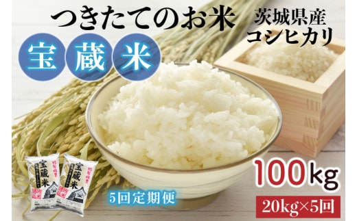 【5ヶ月定期便】【令和7年産】茨城県産コシヒカリ 宝蔵米 20kg×5回【お米 米 菊池 こしひかり つきたてのお米 食味ランキング特A評価 茨城県 水戸市】（CZ-716）