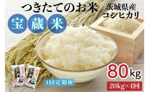 【4ヶ月定期便】【令和7年産】茨城県産コシヒカリ 宝蔵米 20kg×4回【お米 米 菊池 こしひかり つきたてのお米 食味ランキング特A評価 茨城県 水戸市】（CZ-815）