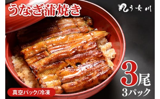 【う女川】うなぎ 蒲焼 かば焼き 3尾(3パック）【鰻 ウナギ 土用丑の日 土用 丑の日 かば焼き 蒲焼き 白焼 たれ焼き】（IX-2）