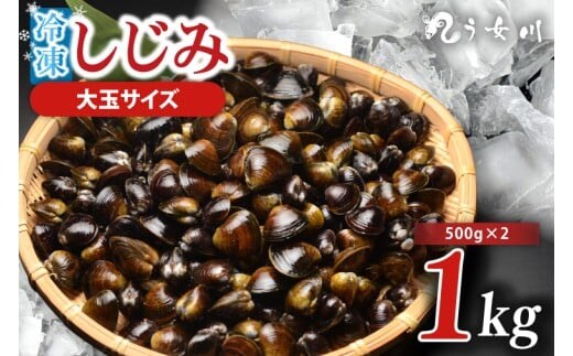 しじみ 冷凍 特選 大玉 1kg（500ｇ×2）砂抜き済み 涸沼川 う女川【シジミ オルニチン ミネラル ビタミンB12 出汁 肝臓 味噌汁 スープ 茨城県 水戸市】（IX-111）