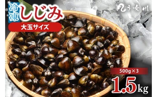 しじみ 冷凍 特選 大玉 1.5kg（500ｇ×3）砂抜き済み 涸沼川 う女川【シジミ オルニチン ミネラル ビタミンB12 出汁 肝臓 味噌汁 スープ 茨城県 水戸市】（IX-112）