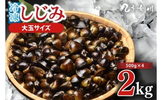 しじみ 冷凍 特選 大玉 2kg（500ｇ×4）砂抜き済み 涸沼川 う女川【シジミ オルニチン ミネラル ビタミンB12 出汁 肝臓 味噌汁 スープ 茨城県 水戸市】（IX-1113）