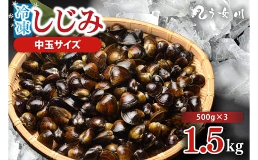 しじみ 冷凍 中玉 1.5kg（500ｇ×3）砂抜き済み 涸沼川 う女川【シジミ オルニチン ミネラル ビタミンB12 出汁 肝臓 味噌汁 スープ 茨城県 水戸市】（IX-115）