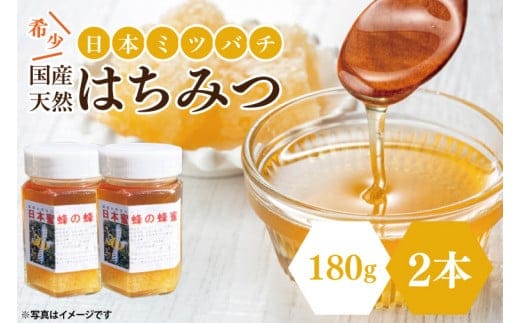 【先行予約】日本ミツバチの国産天然はちみつ 360g（180g×2本）【希少 数量限定 期間限定 ハチミツ 蜂蜜 国産ハチミツ 非加熱 天然 水戸市 茨城県】(KH-2)