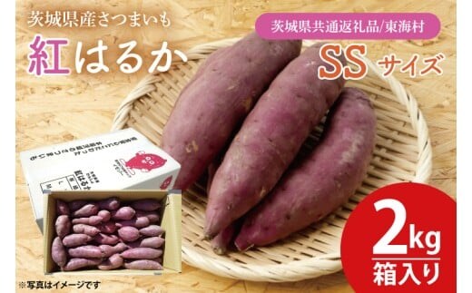 【数量限定】紅はるかSSサイズ2kg箱【茨城県共通返礼品/東海村】【新さつまいも 新芋 さつまいも 芋 焼き芋 焼芋 やきいも 水戸市 茨城県 】（KE-12）
