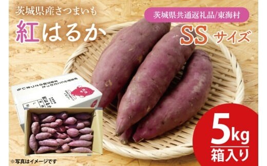 【数量限定】紅はるかSSサイズ5kg箱【茨城県共通返礼品/東海村】【新さつまいも 新芋 さつまいも 芋 いも 焼き芋 焼芋 やきいも 水戸市 茨城県】（KE-13）