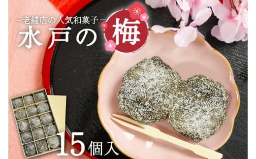 【TVで紹介されました】【木村屋本店】水戸銘菓 水戸の梅 15個入り 160年以上愛される老舗和菓子店【和菓子 お菓子 スイーツ デザート あんこ こし餡 求肥 お土産 老舗 水戸市 茨城県 】（JR-2）