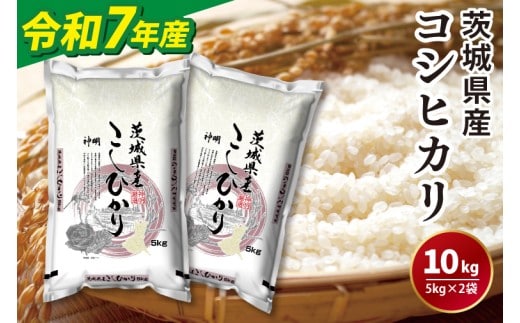令和7年産茨城コシヒカリ5kg×2【 お米 こめ 米 こしひかり 茨城県 茨城県産 】（LL-5）