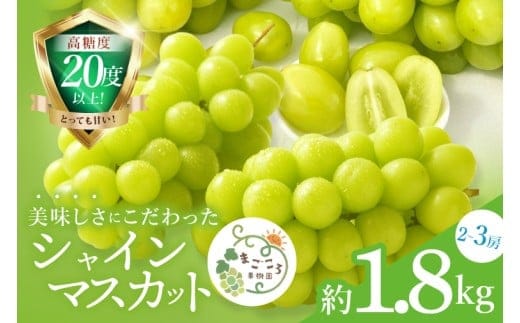 【2026年9月中旬より順次発送】令和7年度 茨城県生産力向上共励会 特別賞受賞！糖度約20～22度！美味しさにこだわったシャインマスカット（約1800g）2～3房 化学肥料不使用 農家直送【葡萄 ぶどう マスカット フルーツ 果物 くだもの 水戸市 水戸 茨城県】（GG-25）
