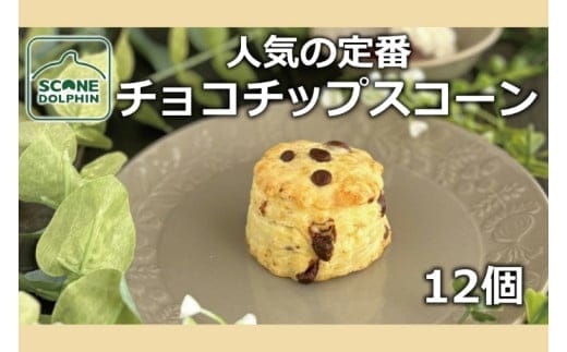 チョコチップスコーン 12個【人気 しっとり 冷凍 冷凍スコーン ミルクチョコレート チョコレート 本場 イギリス 焼き菓子 スイーツ 水戸市 水戸 茨城県 20000円以内 2万円以内】（AR-17）