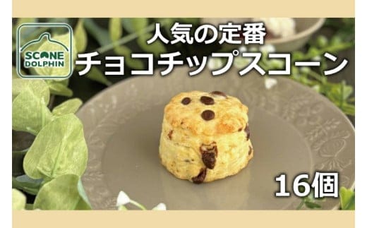 チョコチップスコーン 16個【人気 しっとり 冷凍 冷凍スコーン ミルクチョコレート チョコレート 本場 イギリス 焼き菓子 スイーツ 水戸市 水戸 茨城県 25000円以内】（AR-18）