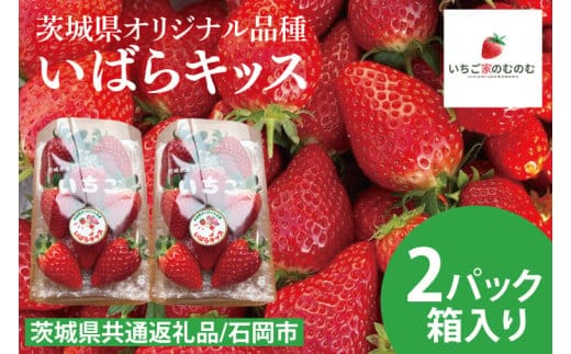 【数量限定】【離島配送不可】いばらキッス 2パック/箱【茨城県共通返礼品/石岡市】【いちご イチゴ 苺 果物 くだもの フルーツ 茨城県オリジナル品種 茨城県】（LX-1）
