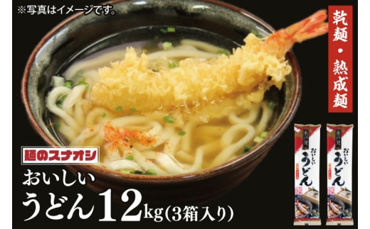 【麺のスナオシ】水戸発 おいしいうどん３箱 計12kg（200ｇ×60袋）（乾麺）【饂飩 麺 長期保存 保存食 防災 人気 大容量 水戸市 茨城県】（BY-16）