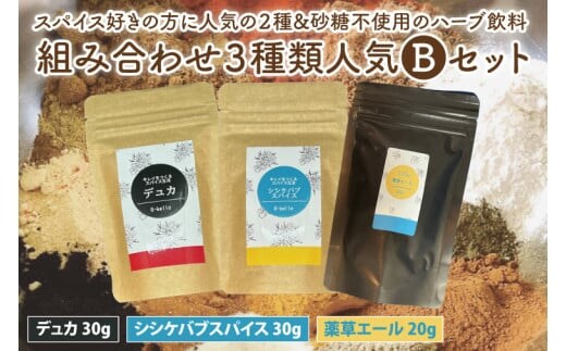 スパイス好きの方に人気の２種と砂糖不使用のハーブ飲料の組み合わせ３種類おススメBセット【調味料 スパイス デトックス ソルト ハーブソルト 抗酸化 薬草エール ハーブ飲料】（MK-2）