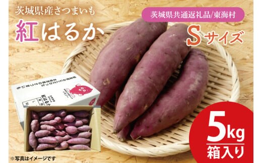 【数量限定】紅はるかSサイズ5kg箱【茨城県共通返礼品/東海村】【新さつまいも 新芋 さつまいも 芋 いも 焼き芋 焼芋 やきいも 水戸市 茨城県】（KE-15）