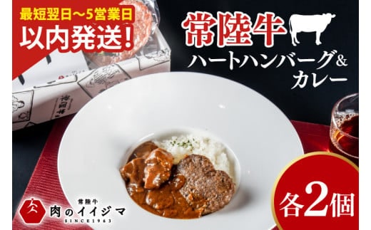  常陸牛ハートハンバーグ100g×2個 常陸牛カレー2個 詰め合わせセット レトルトカレー 化粧箱 12000円 敬老の日 【肉のイイジマ】茨城県 水戸市（DU-130）