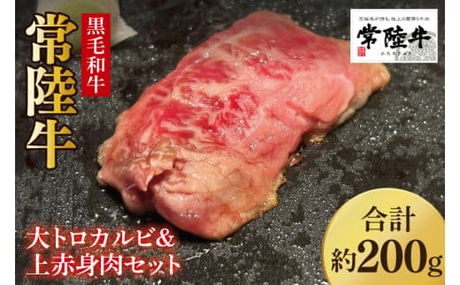 【数量限定】常陸牛 大トロカルビ100g・上赤身肉100g【牛肉 和牛 ブランド牛 常陸牛 パーティ BBQ バーベキュー 水戸市 茨城県】(MJ-1)