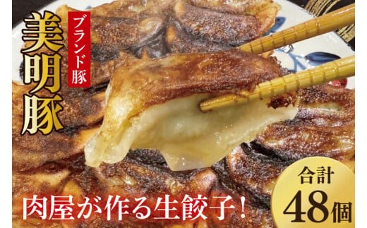 【数量限定】肉屋が作る美明豚生餃子24個入 2パック【ブランド豚 国産 焼き餃子 冷凍 ぎょうざ ギョーザ 冷凍餃子 簡単調理 惣菜 おかず 水戸市 水戸 茨城県】（MJ-5）