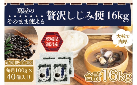 【4ヶ月定期便】涸沼産冷凍しじみ中粒４kg（100g×40p）【シジミ 中粒しじみ 産地直送 砂抜き済み 砂抜き 小分け包装 味噌汁 みそ汁 茨城県】（CA-23）