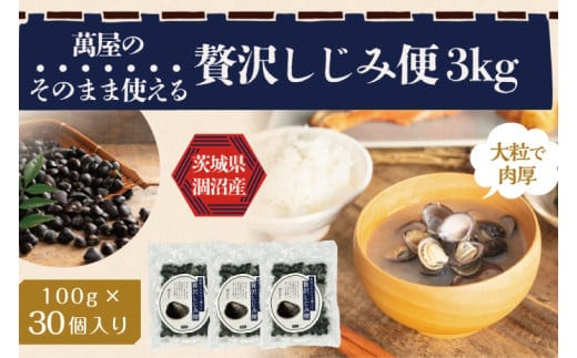 涸沼産冷凍しじみ中粒３kg（100g×30p）【シジミ 中粒しじみ 産地直送 砂抜き済み 砂抜き 小分け包装 味噌汁 みそ汁 茨城県】（CA-14）