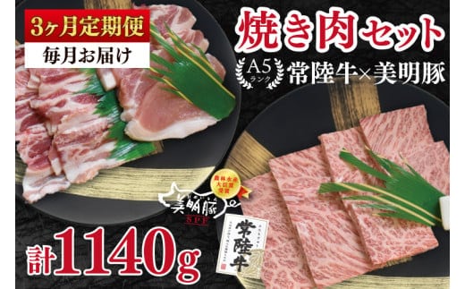 【3ヶ月定期便】【常陸牛 A5ランク・美明豚焼肉セット】常陸牛カルビ180ｇ＋美明豚200ｇ（ロース100ｇ・ばら100ｇ） 冷凍 国産牛 和牛 牛肉 豚肉 ブランド豚 茨城県 水戸市 食べ比べ セット商品 国産 BBQ 老舗精肉店（EK-22_1）