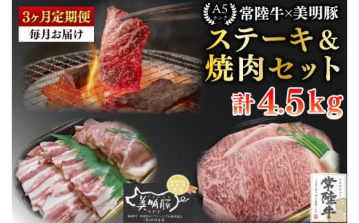 【3ヶ月定期便】【常陸牛 A5ランク・美明豚ステーキ焼肉セット】常陸牛サーロイン900ｇ（300ｇ×３枚）＋美明豚600ｇ（ロース300ｇ・ばら300ｇ）【冷凍 国産牛 和牛 牛肉 豚肉 ブランド豚 茨城県 水戸市 食べ比べ セット商品 国産 BBQ】（EK-36_1）
