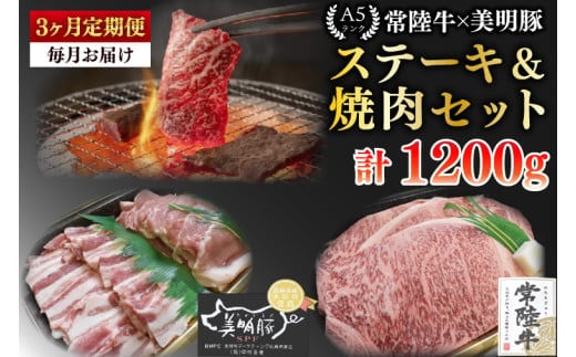 【3ヶ月定期便】【常陸牛 A5ランク・美明豚ステーキ焼肉セット】常陸牛サーロイン200ｇ＋美明豚200ｇ（ロース100ｇ・ばら100ｇ）【冷凍 国産牛 和牛 牛肉 豚肉 ブランド豚 茨城県 水戸市 食べ比べ セット商品 国産 BBQ】（EK-34_1）