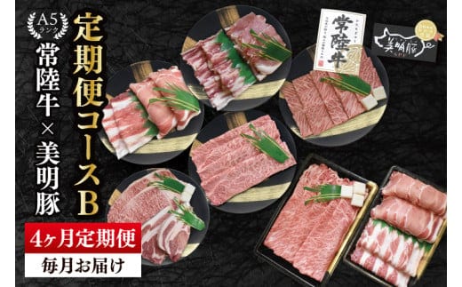 【4か月定期便】A5ランク常陸牛＆美明豚 食べ比べ 定期便コースB｜すき焼き しゃぶしゃぶ 焼肉 BBQ ステーキ 国産牛 和牛 牛肉 豚肉茨城県 水戸市 国産 老舗精肉店（EK-82）