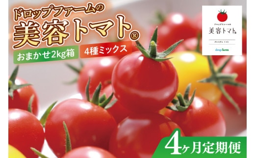 【4ヶ月定期便】ドロップファームの美容トマトおまかせ2kg箱(４種ミックス)【とまと フルーツトマト 野菜ソムリエ 栄養士 アイコ イエローアイコ 小鈴 フルティカ 野菜 フレッシュ 水戸市 茨城県】（CK-19）