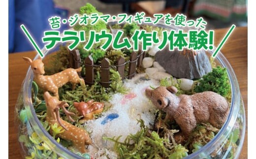 苔（コケ）とジオラマ、フィギュアを使ったテラリウム作り体験！【苔テラリウム ハンドメイド ワークショップ オリジナル 水戸市 茨城県】（MW-1）