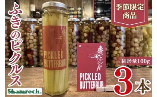 【数量限定】Shamrock ふきのピクルス 3本【ふき 手作り ピクルス 漬物 水戸市 茨城県】（FE-12）