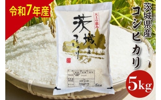【数量限定】【令和7年産】茨城県産コシヒカリ 5kg 【お米 ごはん こしひかり 老舗 米屋 おにぎり ごはん 茨城県 水戸市 5キロ】(HQ-201)