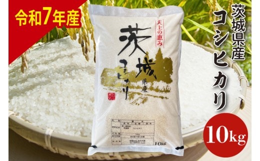 【数量限定】【令和7年産】茨城県産コシヒカリ 10kg 【お米 ごはん こしひかり 老舗 米屋 おにぎり ごはん 茨城県 水戸市 10キロ】(HQ-202)
